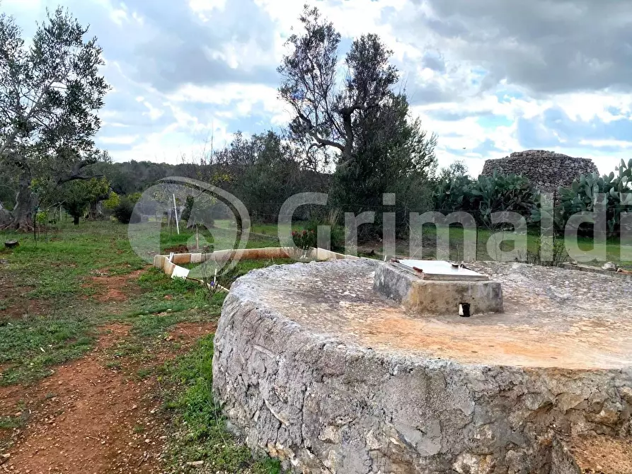 Immagine 18 di Terreno edificabile in vendita  in Santa Teresa a Sannicola