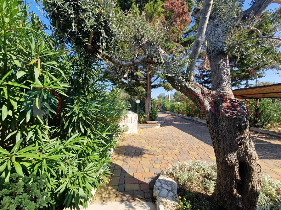 Immagine 38 di Villa in vendita  a San Vito Dei Normanni