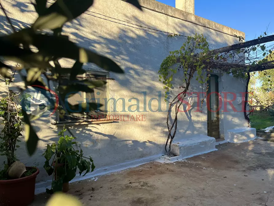 Immagine 10 di Rustico / casale in vendita  a San Vito Dei Normanni