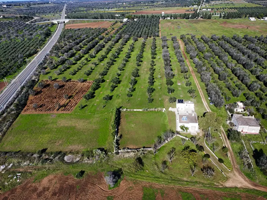 Immagine 63 di Villa in vendita  in Contrada Montestazzo 1 a Carovigno