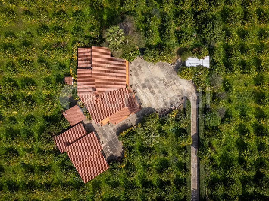 Immagine 22 di Villa in vendita  in Via Bella Pettinata 1 a Avola