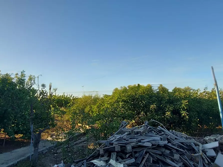 Immagine 24 di Villa in vendita  in Contrada Palmarini a Brindisi