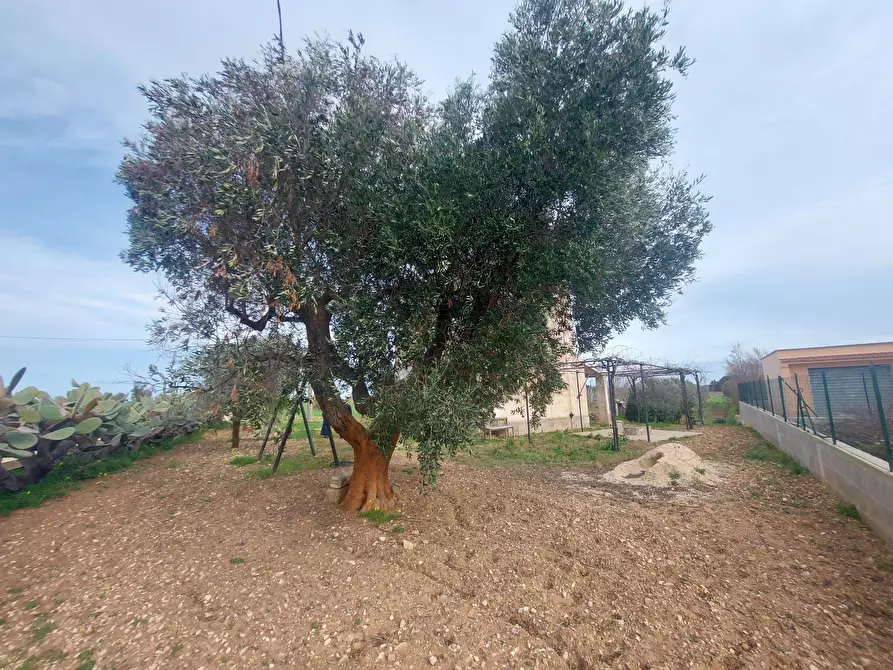 Immagine 28 di Rustico / casale in vendita  in Strada per Baccatani 26 a Brindisi