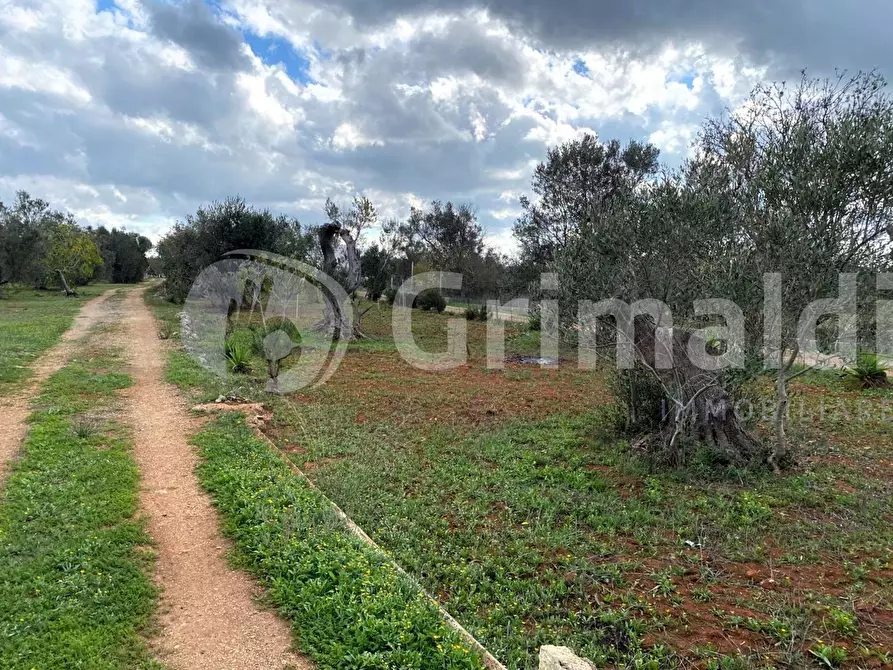Immagine 3 di Terreno edificabile in vendita  in Santa Teresa a Sannicola