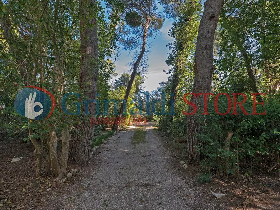 Immagine 64 di Villa in vendita  in Via San Fili 110 a Monteroni Di Lecce