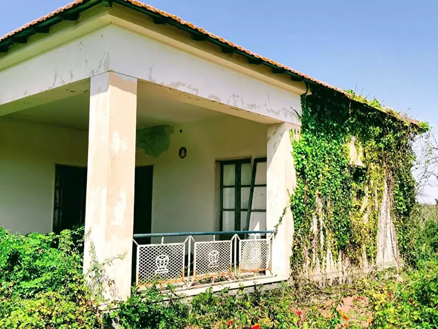 Immagine 21 di Terreno agricolo in vendita  in Lungomare Agnone Bagni a Augusta