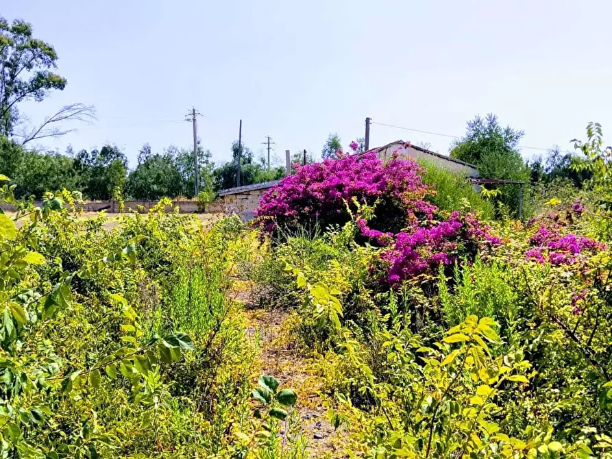 Immagine 18 di Terreno agricolo in vendita  in Lungomare Agnone Bagni a Augusta