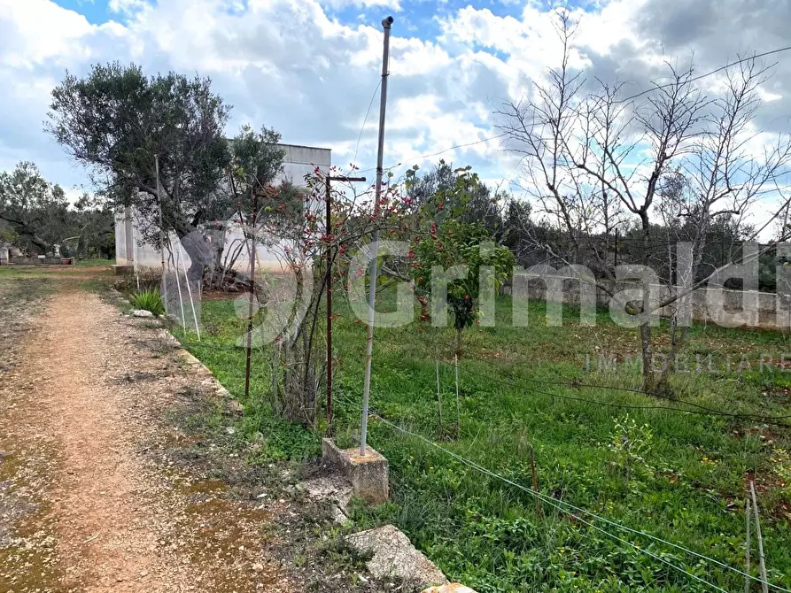 Immagine 9 di Terreno edificabile in vendita  in Santa Teresa a Sannicola