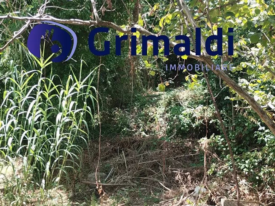 Immagine 5 di Terreno agricolo in vendita  in Corsa Regina Elena SNC a Barano D'ischia