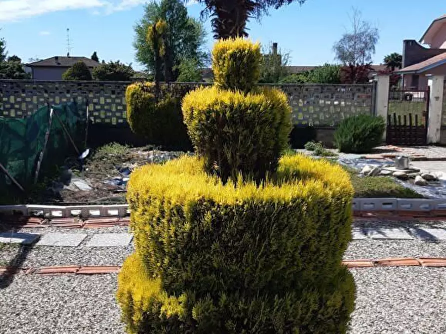 Immagine 18 di Villa in vendita  in Via Magenta 4 a Villata