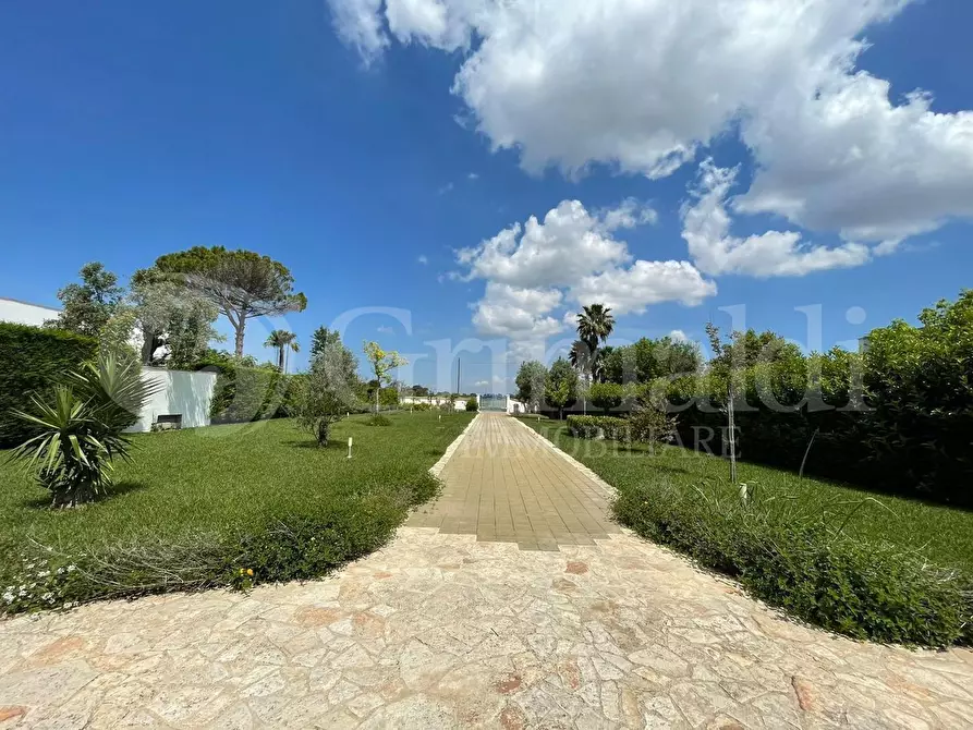 Immagine 2 di Villa in vendita  in strada vicinale contrada pontuso a Matino