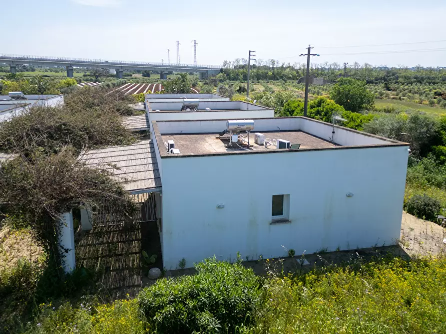 Immagine 48 di Casa indipendente in vendita  in Strada Provinciale 194 a Sannicola