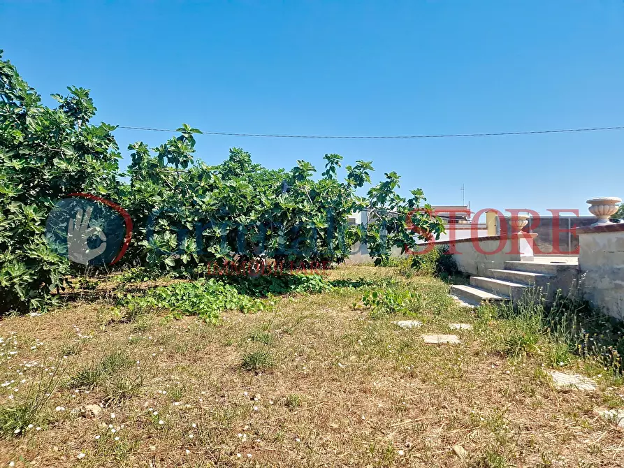 Immagine 18 di Villa in vendita  a Manduria