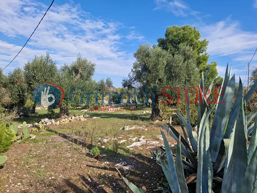 Immagine 11 di Casa indipendente in vendita  a Ostuni