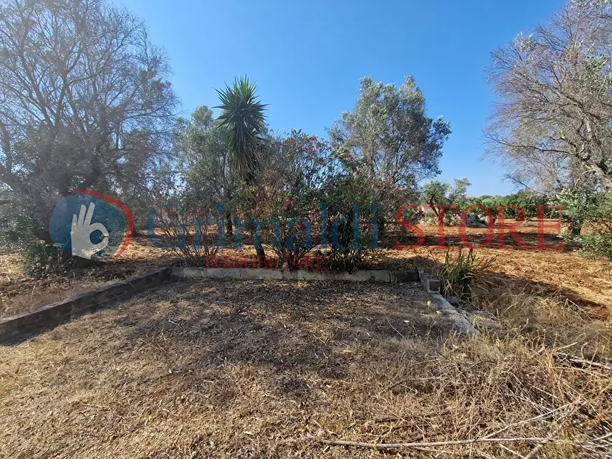 Immagine 5 di Terreno agricolo in vendita  a Latiano