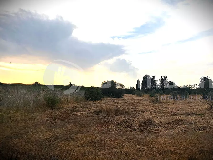 Immagine 9 di Terreno agricolo in vendita  in Strada Statale 274 a Gallipoli