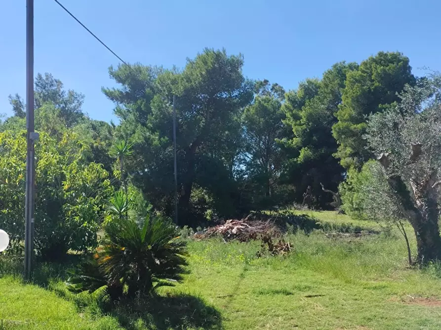 Immagine 38 di Villa in vendita  in strada provinciale 39 a Maglie