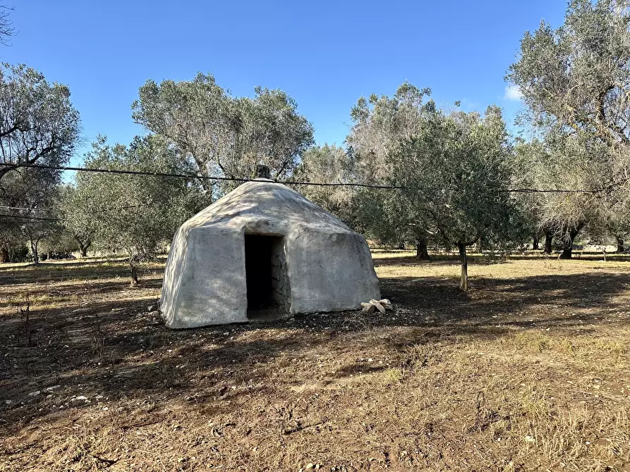 Immagine 37 di Villa in vendita  in Contrada Pezza d' Acqua Fresca 27 a San Vito Dei Normanni