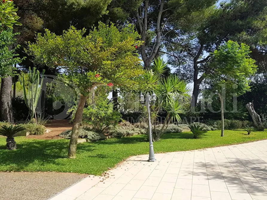 Immagine 28 di Casa indipendente in vendita  in corso cesare vergine a Tuglie