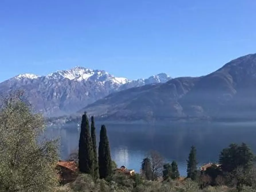 Immagine 3 di Terreno industriale in vendita  a Tremezzina