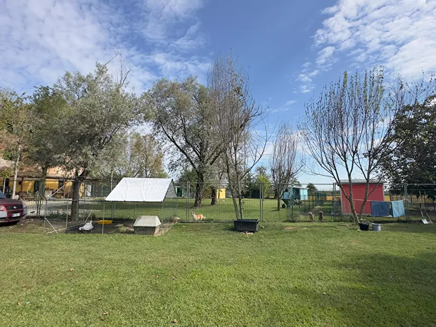 Immagine 5 di Rustico / casale in vendita  in via umberto 1 a Greggio