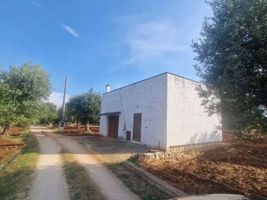 Immagine 6 di Casa indipendente in vendita  in C.da Caramanna a Monopoli