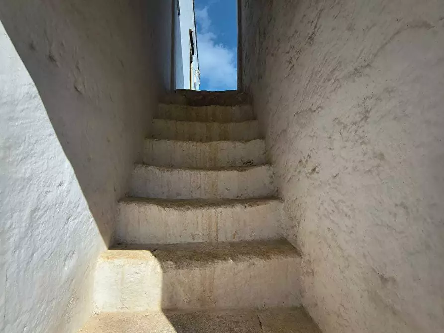 Immagine 22 di Villa in vendita  in Viale Aldo Moro a Monopoli