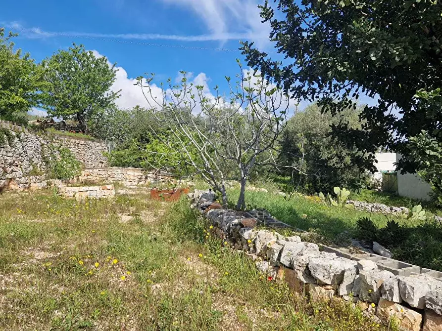 Immagine 8 di Rustico / casale in vendita  in C.da Peroscia a Monopoli