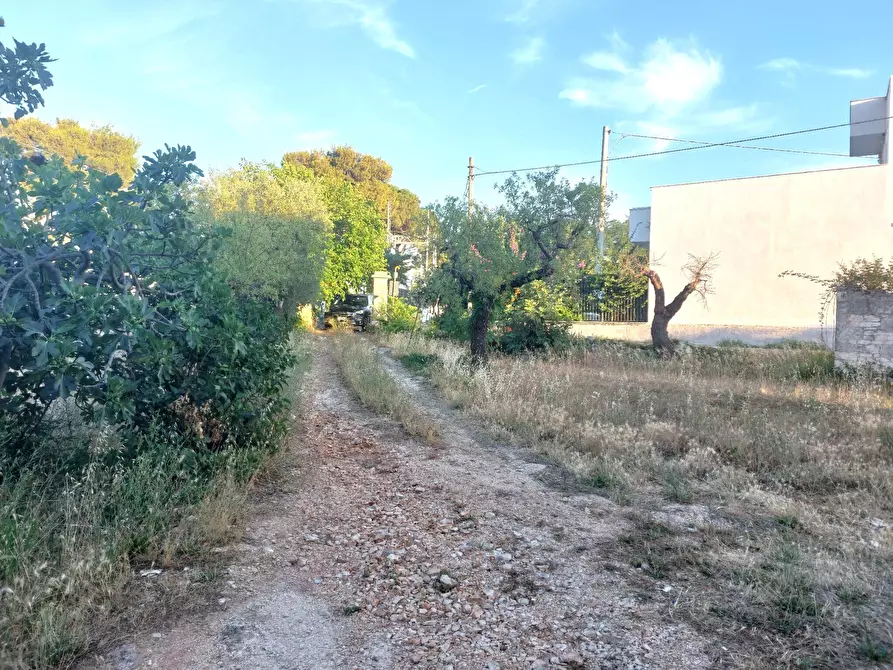 Immagine 6 di Villa in vendita  in Via Tommaso Fiore a Castellana Grotte