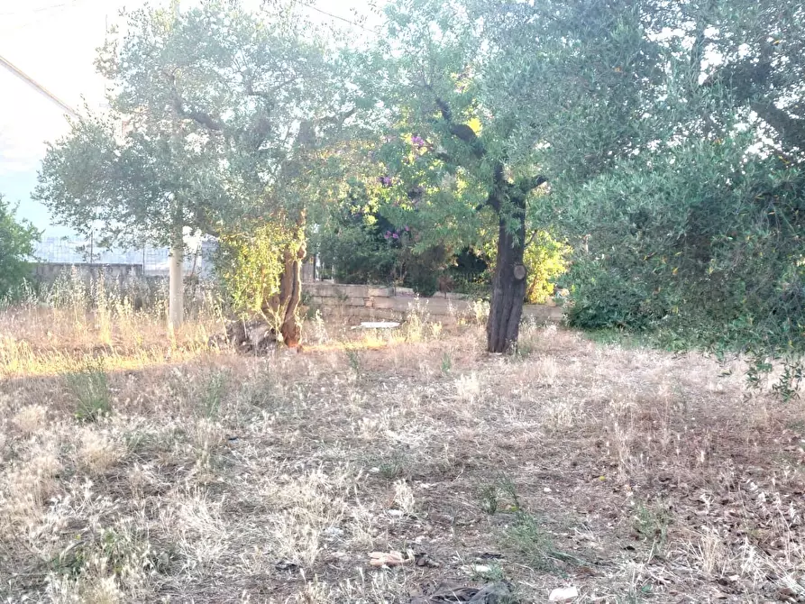 Immagine 3 di Villa in vendita  in Via Tommaso Fiore a Castellana Grotte