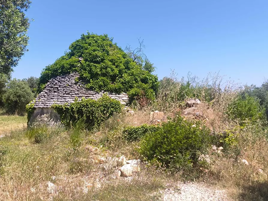 Immagine 4 di Casa indipendente in vendita  in Contrada Balice a Monopoli