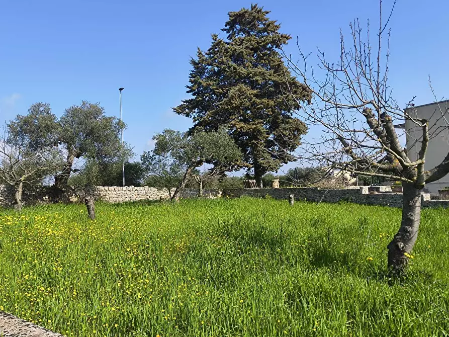 Immagine 16 di Casa indipendente in vendita  in Contrada Ciporrelli a Monopoli