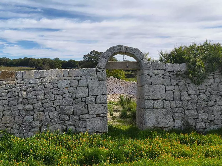 Immagine 15 di Casa indipendente in vendita  in Contrada zecca a Monopoli