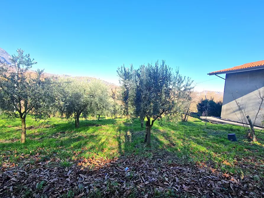 Immagine 1 di Terreno agricolo in vendita  in Contrada Schiavonia a Ospedaletto D'alpinolo