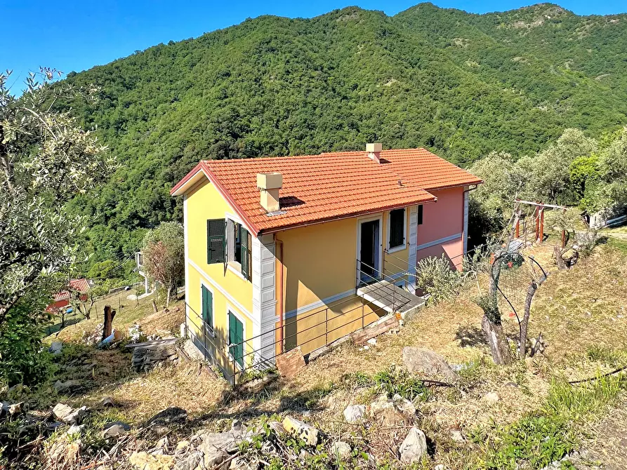 Immagine 1 di Casa indipendente in vendita  in Via Posato 19 a Avegno