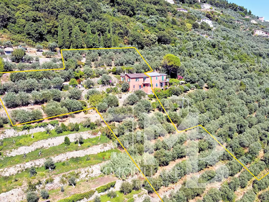 Immagine 3 di Casa semindipendente in vendita  in Frazione Sant'Apollinare 3 a Sori