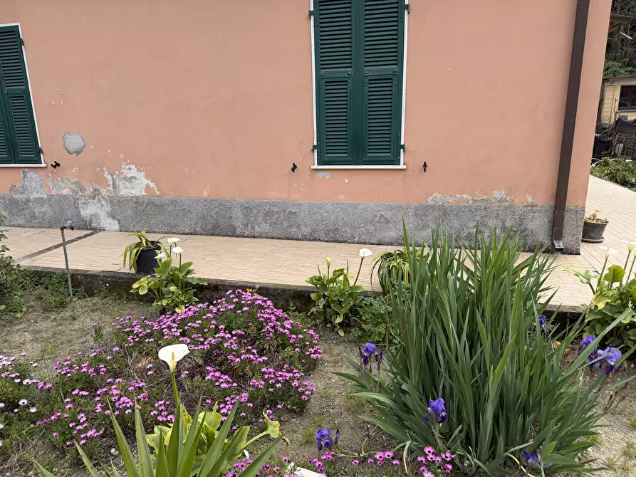 Immagine 2 di Casa indipendente in vendita  a Sarzana