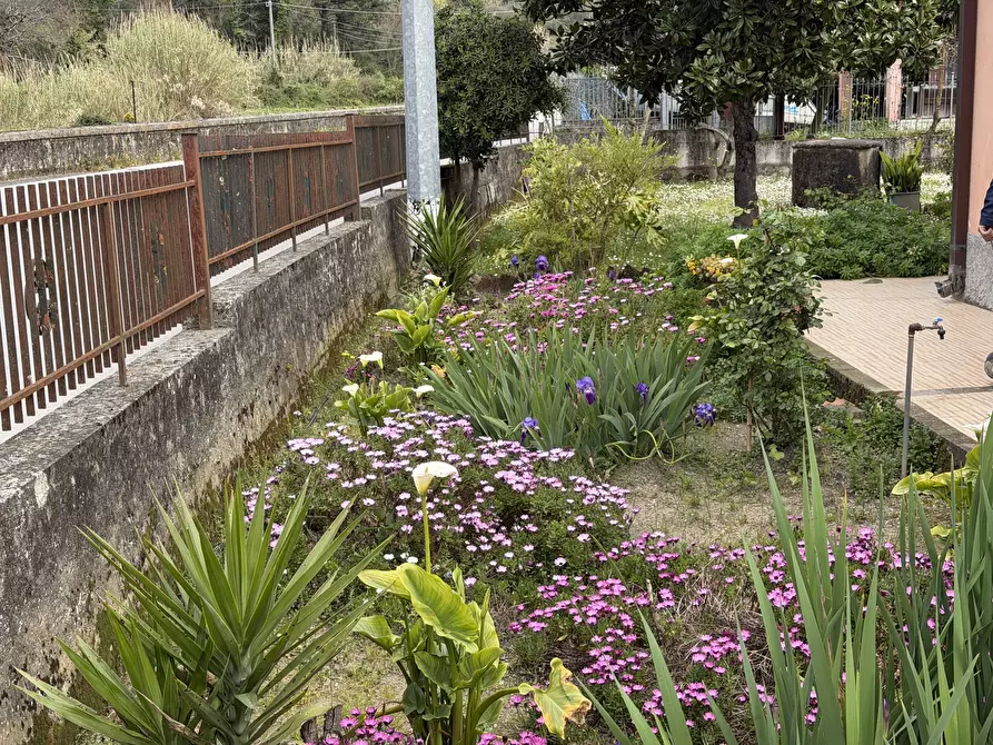 Immagine 5 di Casa indipendente in vendita  a Sarzana