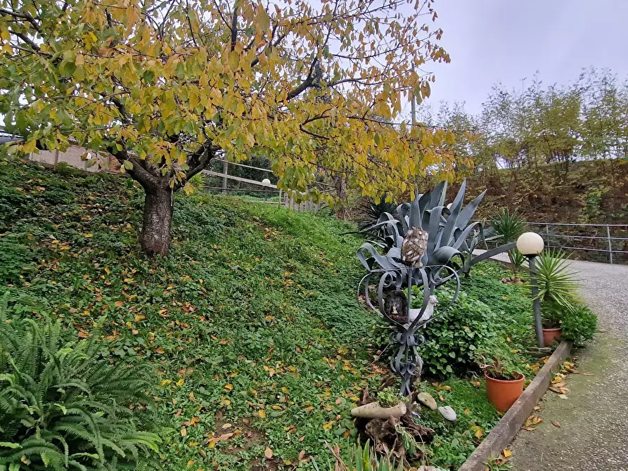 Immagine 6 di Villa in vendita  in Via Morucciola a Arcola