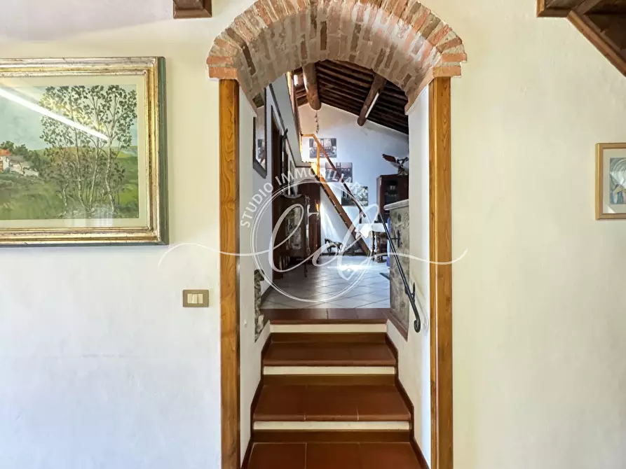 Immagine 21 di Rustico / casale in vendita  a Camaiore