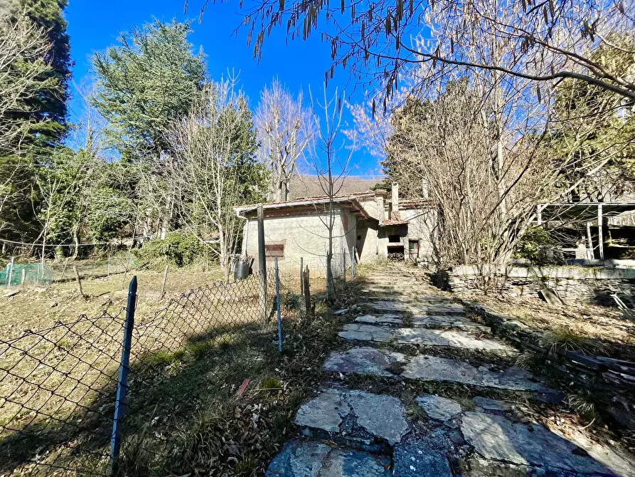 Immagine 2 di Casa bifamiliare in vendita  a Stazzema