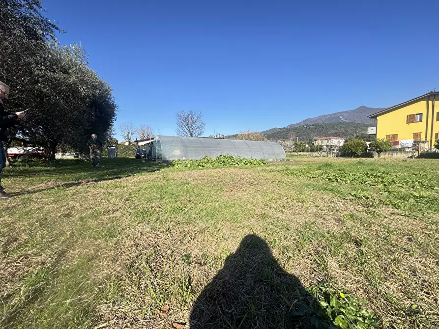 Immagine 5 di Terreno agricolo in vendita  a Pietrasanta
