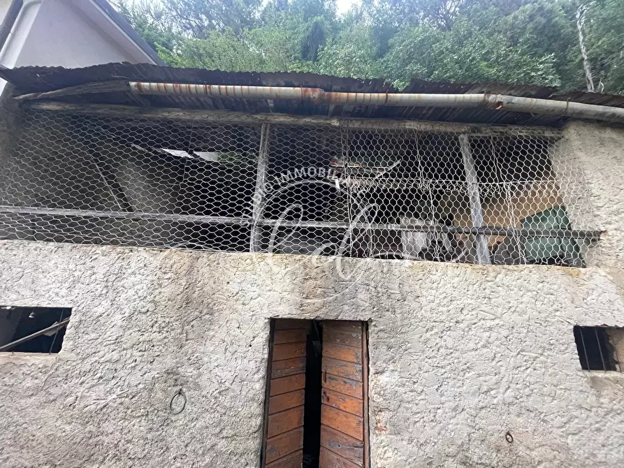 Immagine 46 di Porzione di casa in vendita  a Camaiore