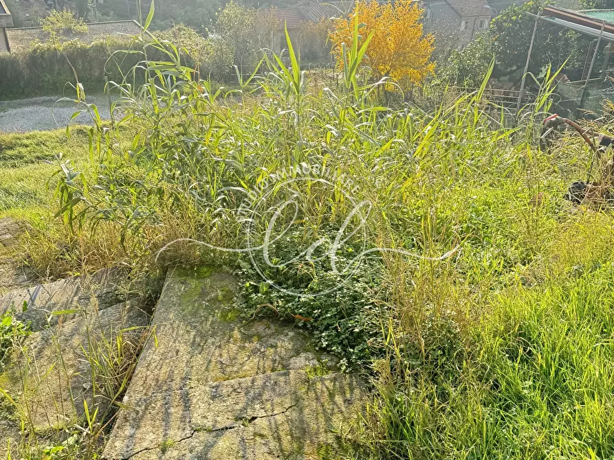 Immagine 39 di Porzione di casa in vendita  a Pietrasanta