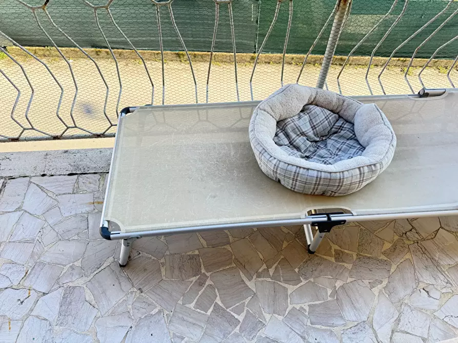 Immagine 30 di Quadrilocale in vendita  a Pietrasanta