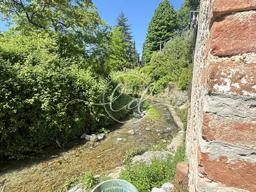 Immagine 51 di Rustico / casale in vendita  a Camaiore