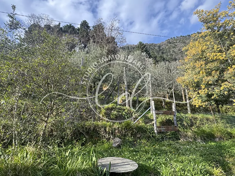 Immagine 87 di Casa indipendente in vendita  a Stazzema