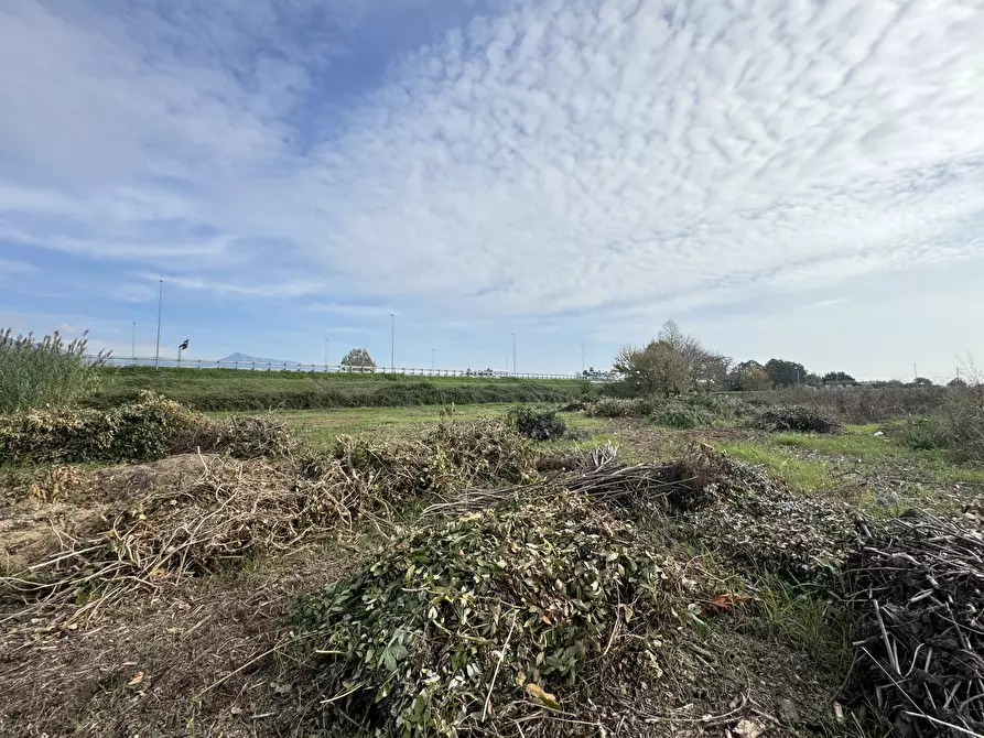 Immagine 74 di Rustico / casale in vendita  a Pietrasanta