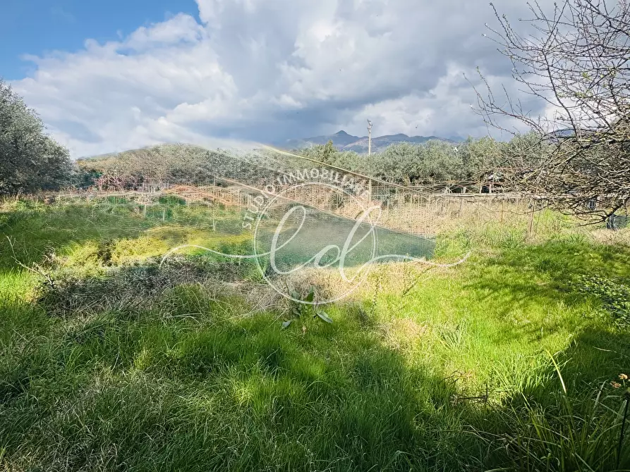 Immagine 24 di Porzione di casa in vendita  a Seravezza