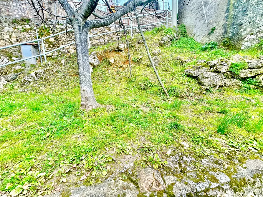 Immagine 7 di Casa indipendente in vendita  a Pietrasanta